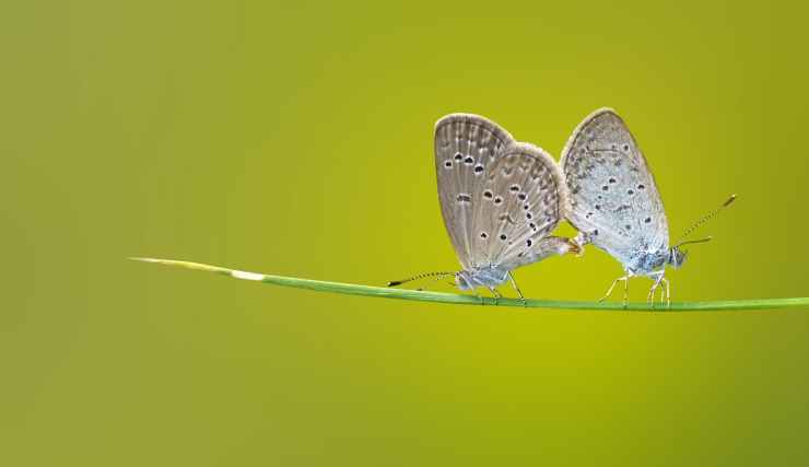 nature photography travel green